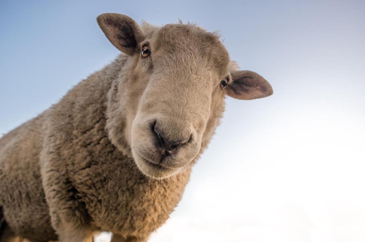 Huus An'T Doerpsdiek Krummhörn Esterno foto