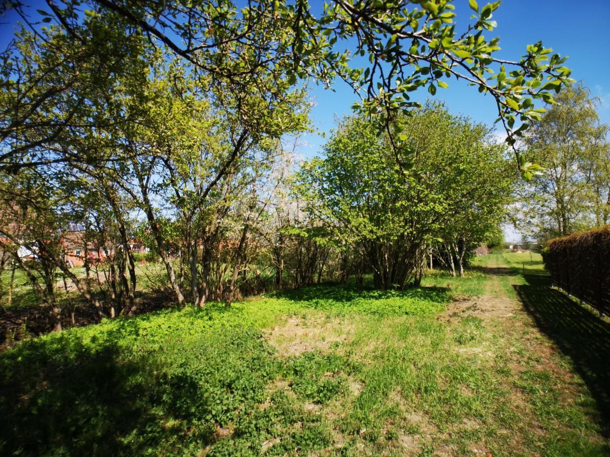 Huus An'T Doerpsdiek Krummhörn Esterno foto